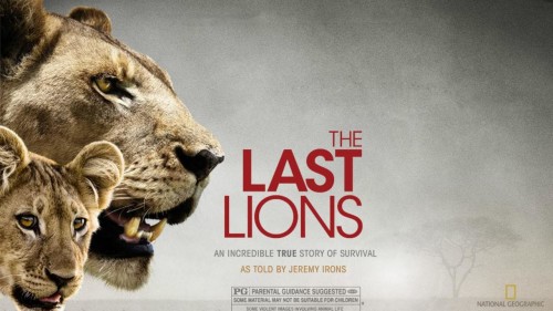 Bầy Sư Tử Cuối Cùng The Last Lions