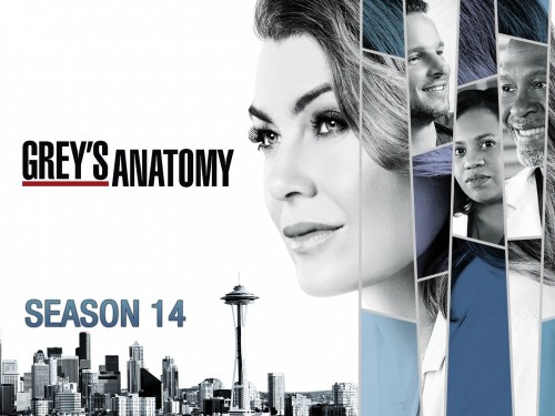 Ca Phẫu Thuật Của Grey (Phần 14) - Grey's Anatomy (Season 14)