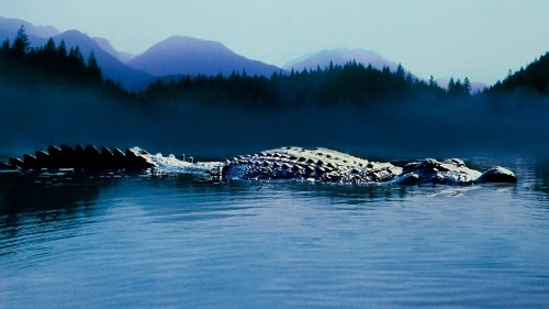 Hồ Cá Sấu - Lake Placid