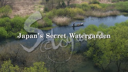 SATOYAMA: Khu Vườn Thủy Sinh Tuyệt Vời Satoyama II: Japan's Secret Watergarden